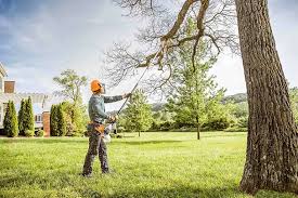 Best Lot and Land Clearing  in Maypearl, TX